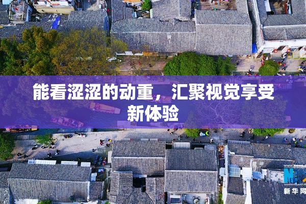 能看涩涩的动重，汇聚视觉享受新体验