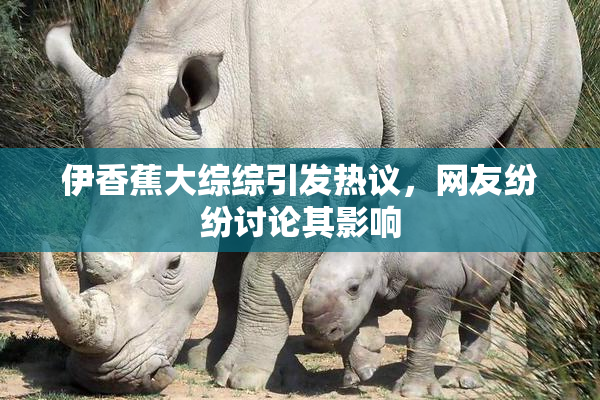 伊香蕉大综综引发热议，网友纷纷讨论其影响