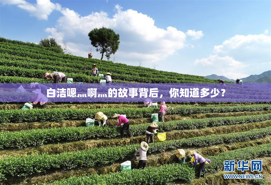 白洁嗯灬啊灬的故事背后，你知道多少？
