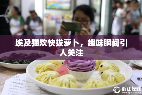 埃及猫欢快拔萝卜，趣味瞬间引人关注