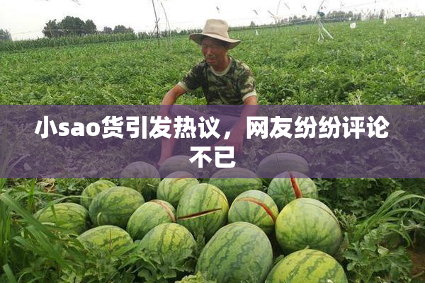 小sao货引发热议，网友纷纷评论不已