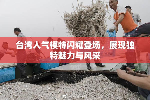 台湾人气模特闪耀登场，展现独特魅力与风采