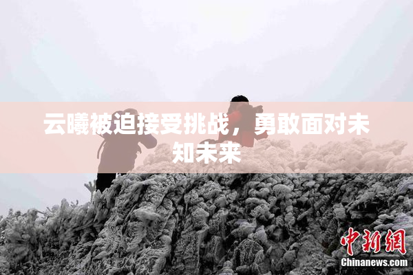 云曦被迫接受挑战，勇敢面对未知未来