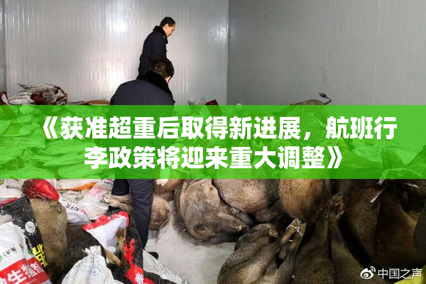 《获准超重后取得新进展，航班行李政策将迎来重大调整》