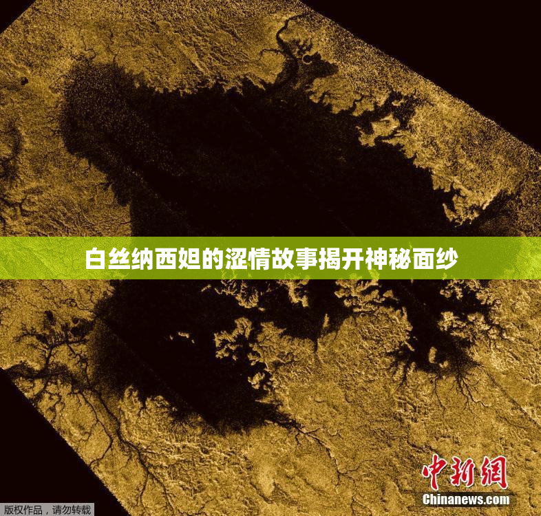 白丝纳西妲的涩情故事揭开神秘面纱