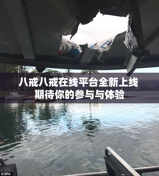 八戒八戒在线平台全新上线 期待你的参与与体验