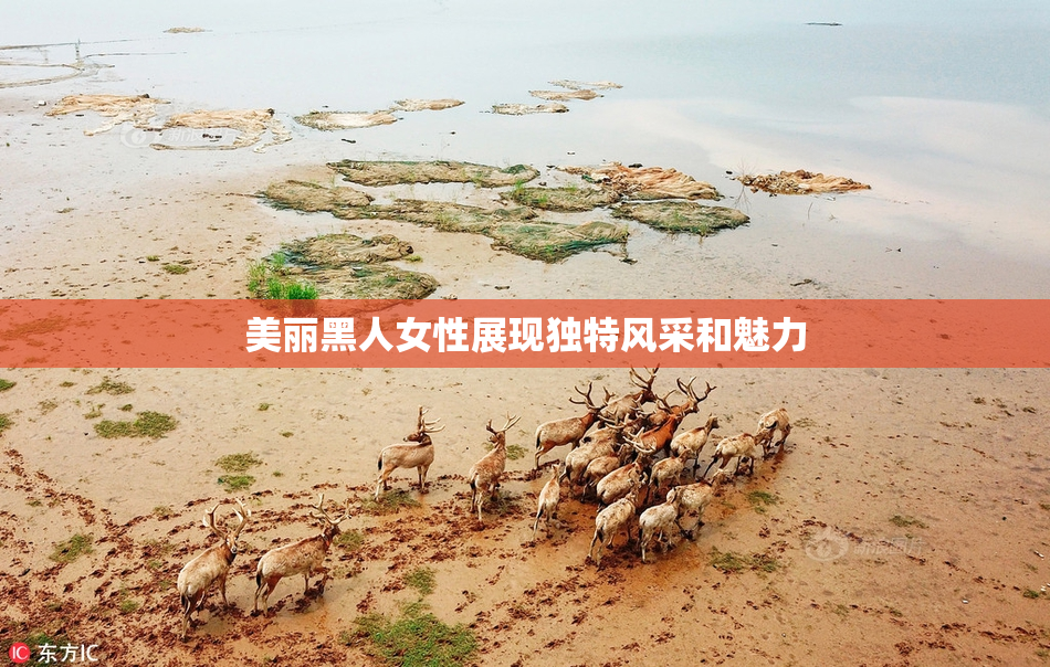 美丽黑人女性展现独特风采和魅力
