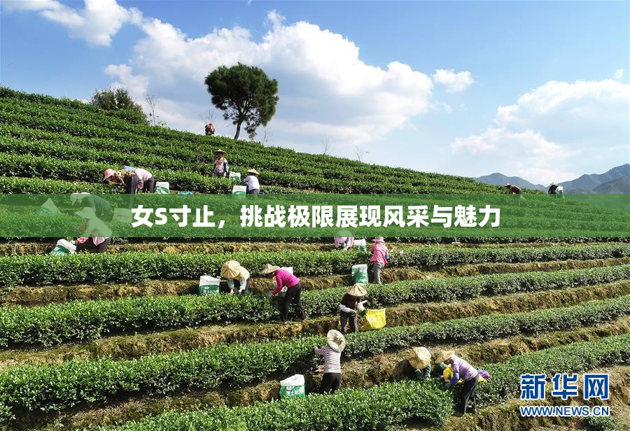 女S寸止，挑战极限展现风采与魅力
