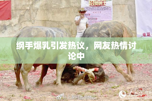 纲手爆乳引发热议，网友热情讨论中