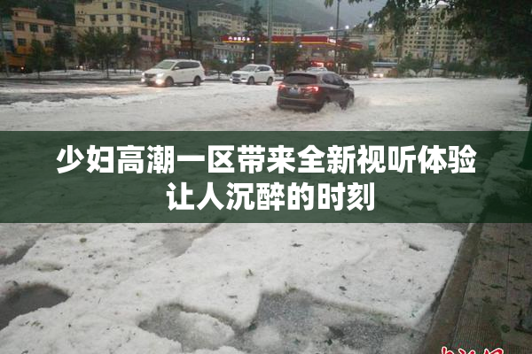 少妇高潮一区带来全新视听体验 让人沉醉的时刻