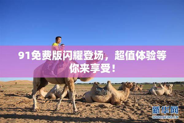 91免费版闪耀登场，超值体验等你来享受！