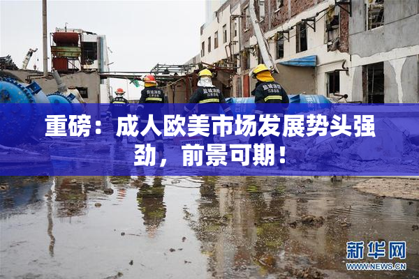 重磅：成人欧美市场发展势头强劲，前景可期！