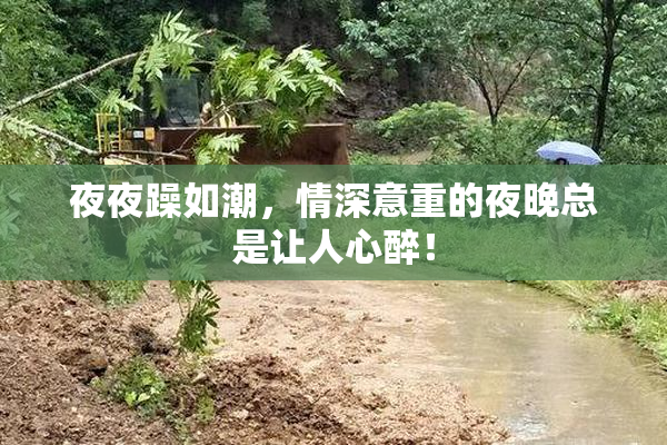 夜夜躁如潮，情深意重的夜晚总是让人心醉！