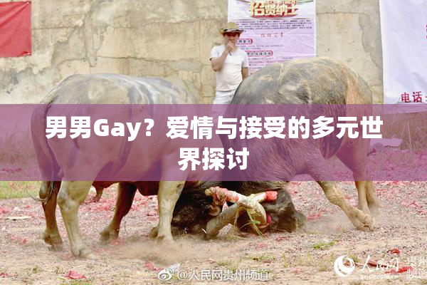 男男Gay？爱情与接受的多元世界探讨