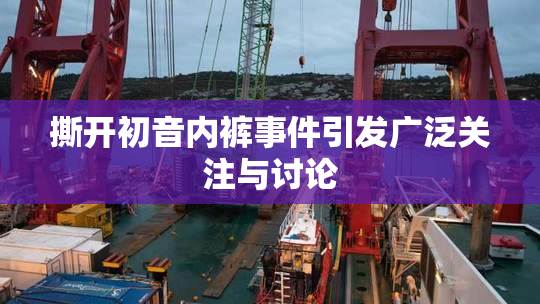 撕开初音内裤事件引发广泛关注与讨论