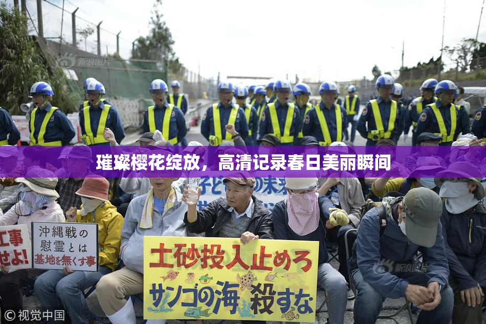 璀璨樱花绽放，高清记录春日美丽瞬间