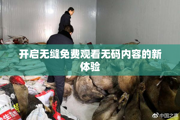 开启无缝免费观看无码内容的新体验