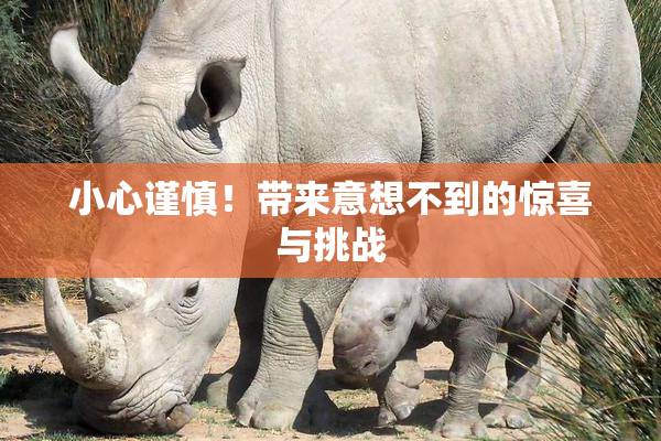 小心谨慎！带来意想不到的惊喜与挑战