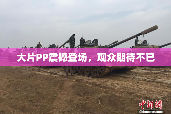 大片PP震撼登场，观众期待不已