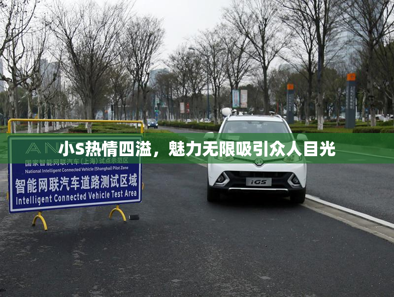 小S热情四溢，魅力无限吸引众人目光