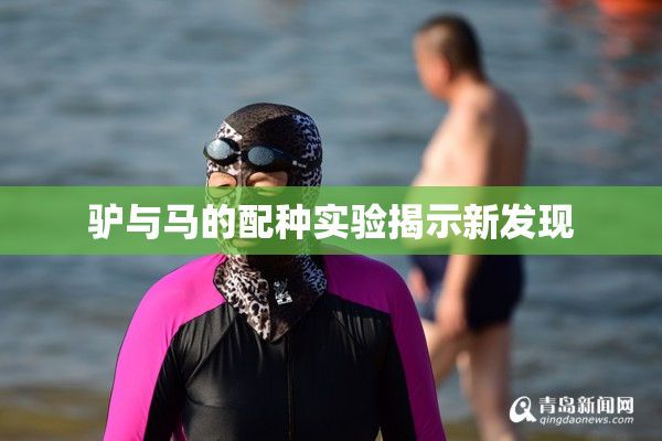驴与马的配种实验揭示新发现