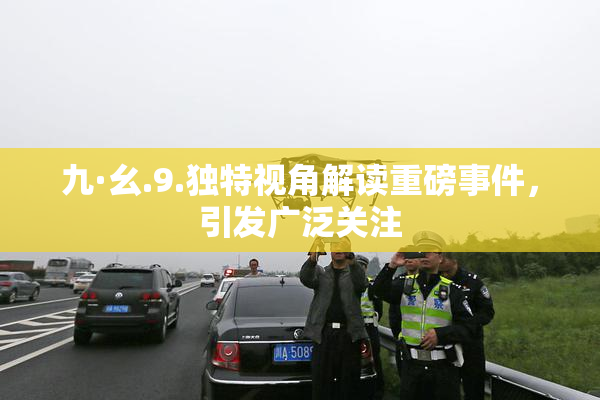 九·幺.9.独特视角解读重磅事件，引发广泛关注