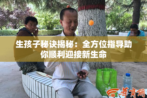 生孩子秘诀揭秘：全方位指导助你顺利迎接新生命