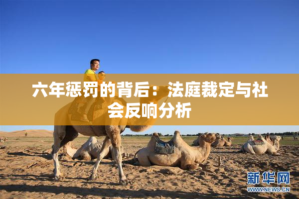 六年惩罚的背后：法庭裁定与社会反响分析