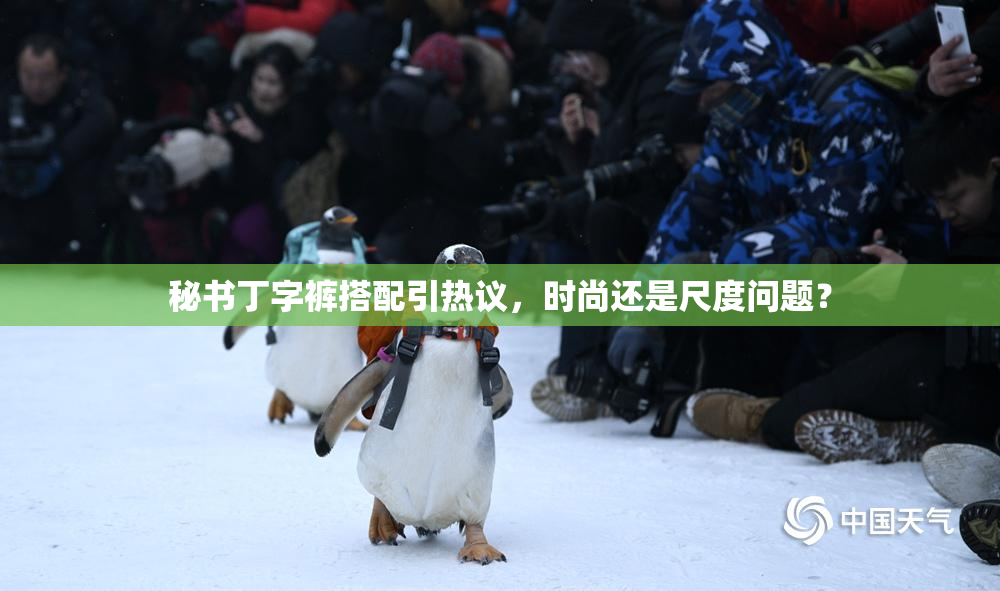 秘书丁字裤搭配引热议，时尚还是尺度问题？