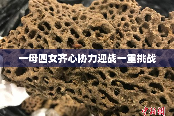 一母四女齐心协力迎战一重挑战