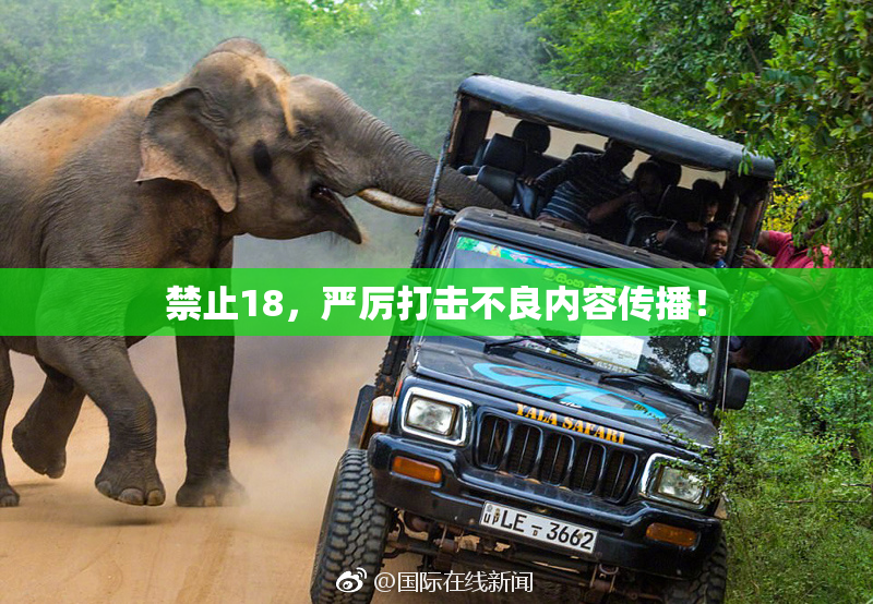 禁止18，严厉打击不良内容传播！