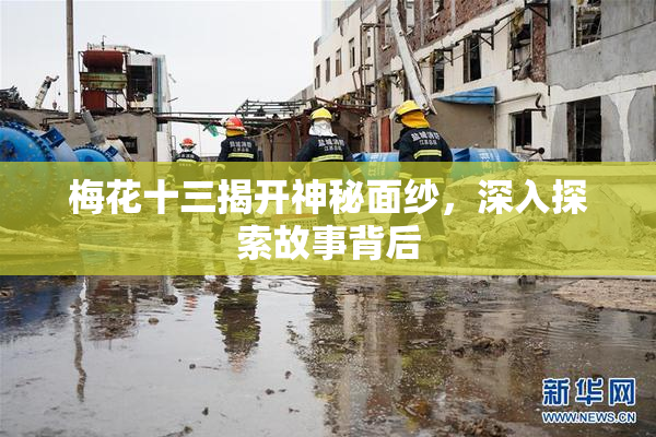 梅花十三揭开神秘面纱，深入探索故事背后