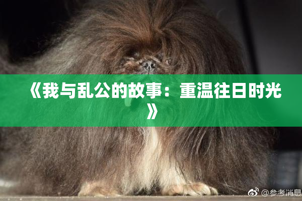 《我与乱公的故事：重温往日时光》