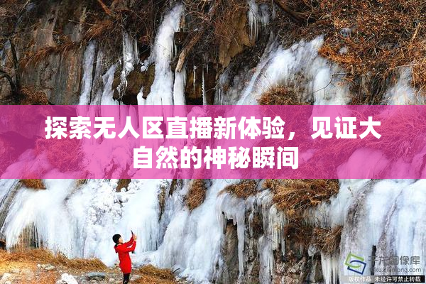 探索无人区直播新体验，见证大自然的神秘瞬间