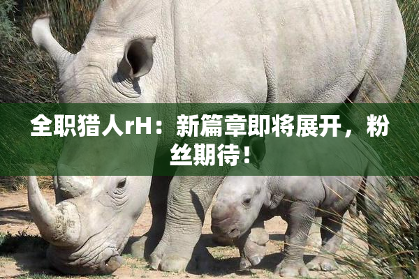 全职猎人rH：新篇章即将展开，粉丝期待！