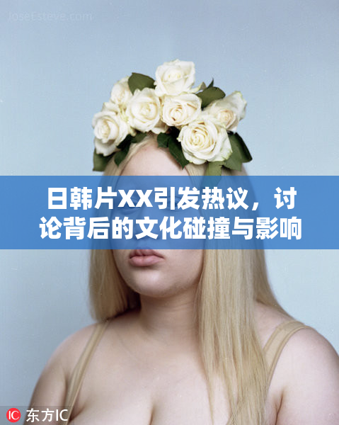 日韩片XX引发热议，讨论背后的文化碰撞与影响