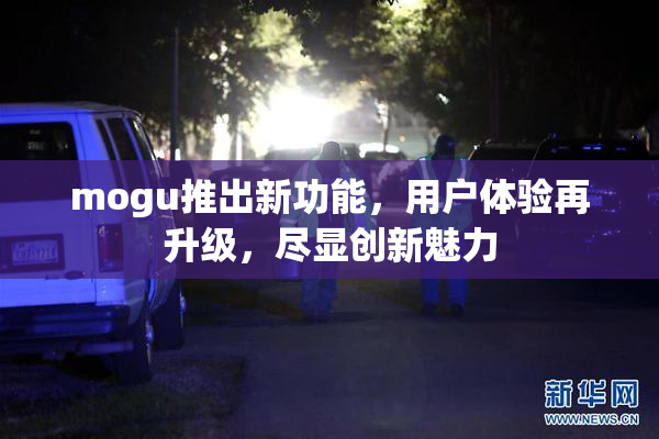 mogu推出新功能，用户体验再升级，尽显创新魅力