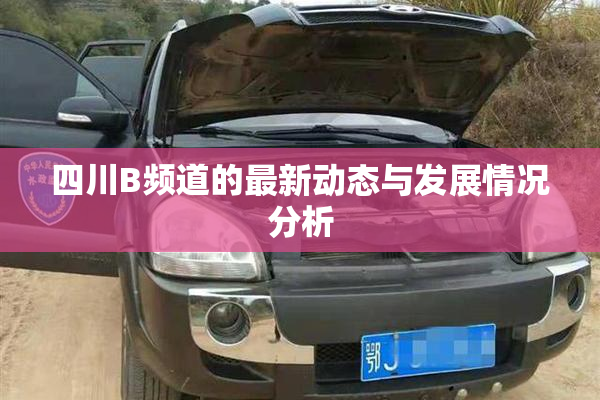 四川B频道的最新动态与发展情况分析