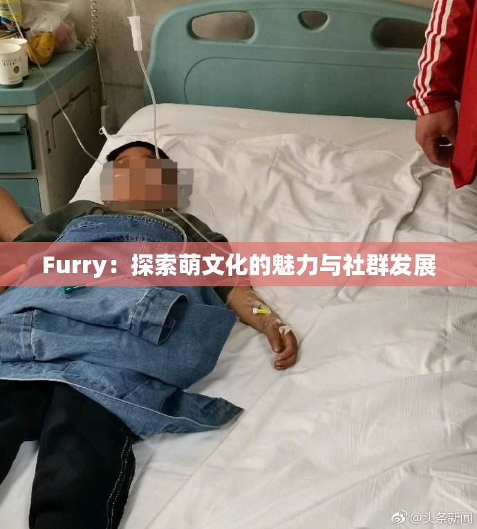 Furry：探索萌文化的魅力与社群发展