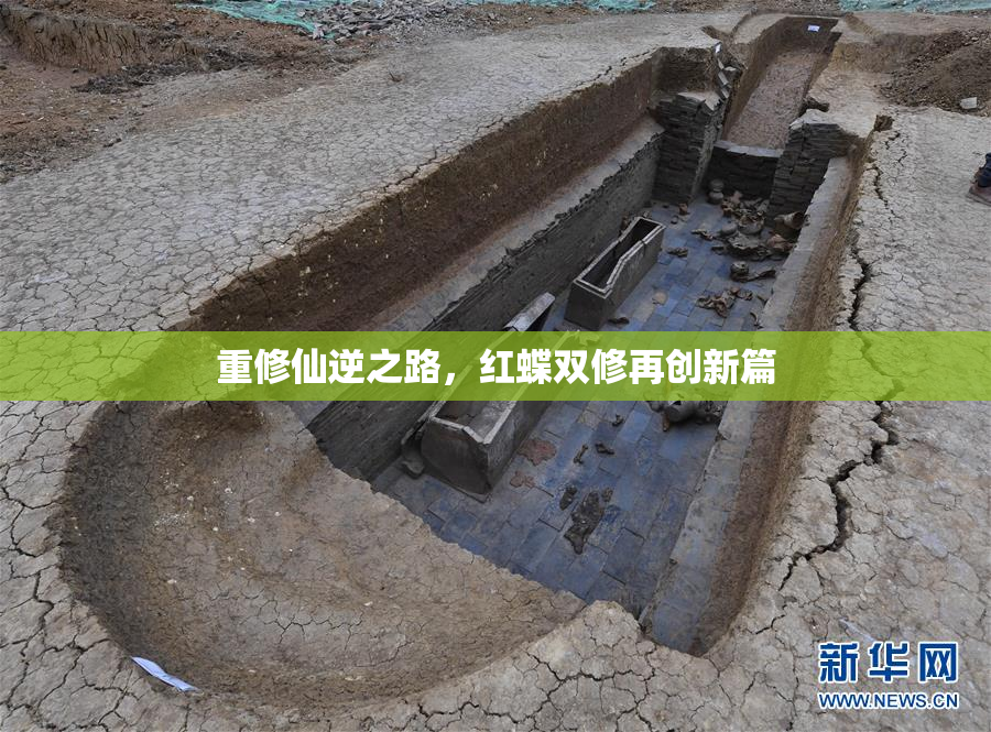 重修仙逆之路，红蝶双修再创新篇