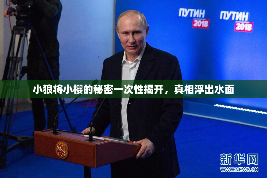 小狼将小樱的秘密一次性揭开，真相浮出水面