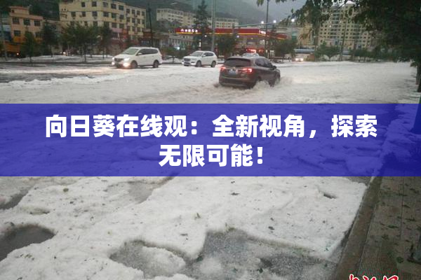 向日葵在线观：全新视角，探索无限可能！