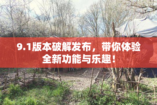9.1版本破解发布，带你体验全新功能与乐趣！