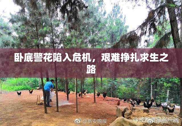 卧底警花陷入危机，艰难挣扎求生之路