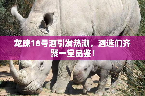 龙珠18号酒引发热潮，酒迷们齐聚一堂品鉴！