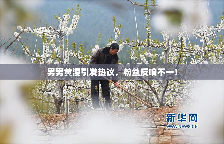 男男黄漫引发热议，粉丝反响不一！