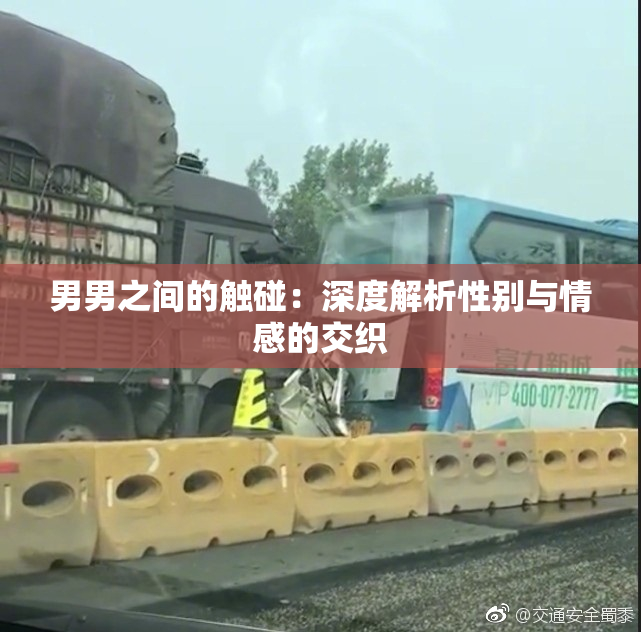 男男之间的触碰：深度解析性别与情感的交织