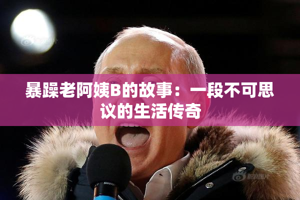 暴躁老阿姨B的故事：一段不可思议的生活传奇