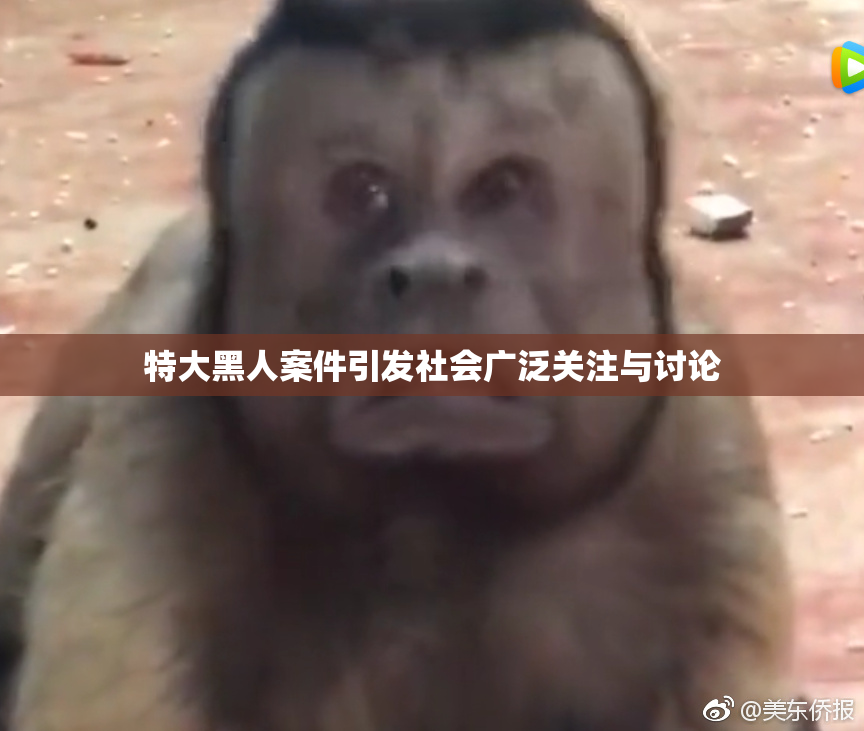 特大黑人案件引发社会广泛关注与讨论