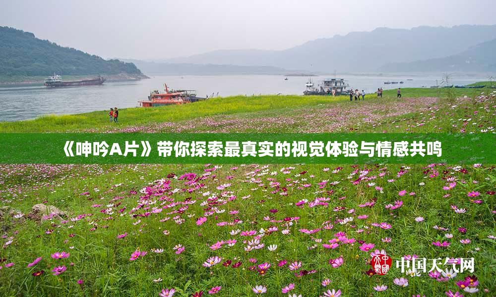 《呻吟A片》带你探索最真实的视觉体验与情感共鸣